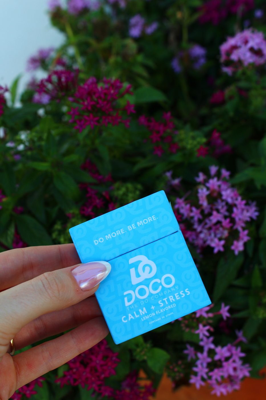 Calm + Stress box in a garden