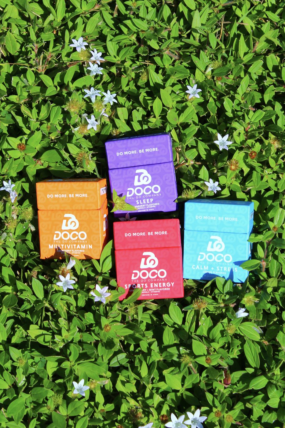 All four formulas in the grass
